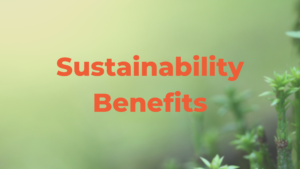 Why Sustainability in Business is Important